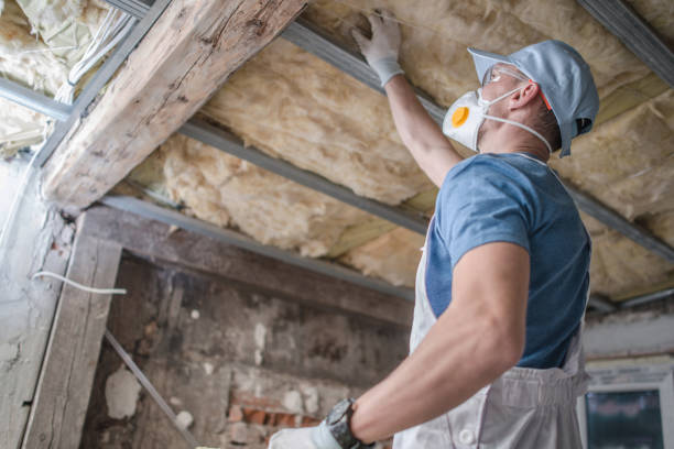 Best Cellulose Insulation in Brookville, IN