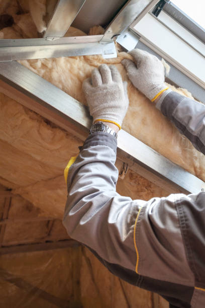 Best Geographic-Specific Insulation Services in Brookville, IN